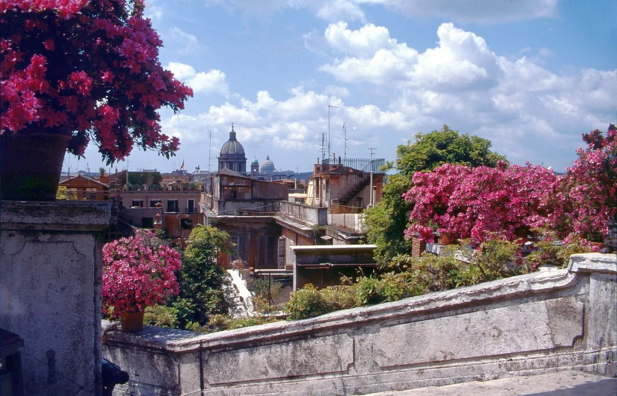 Azalee fiorite sulla balaustra della scalinata di Trinità dei Monti e i tetti di Roma